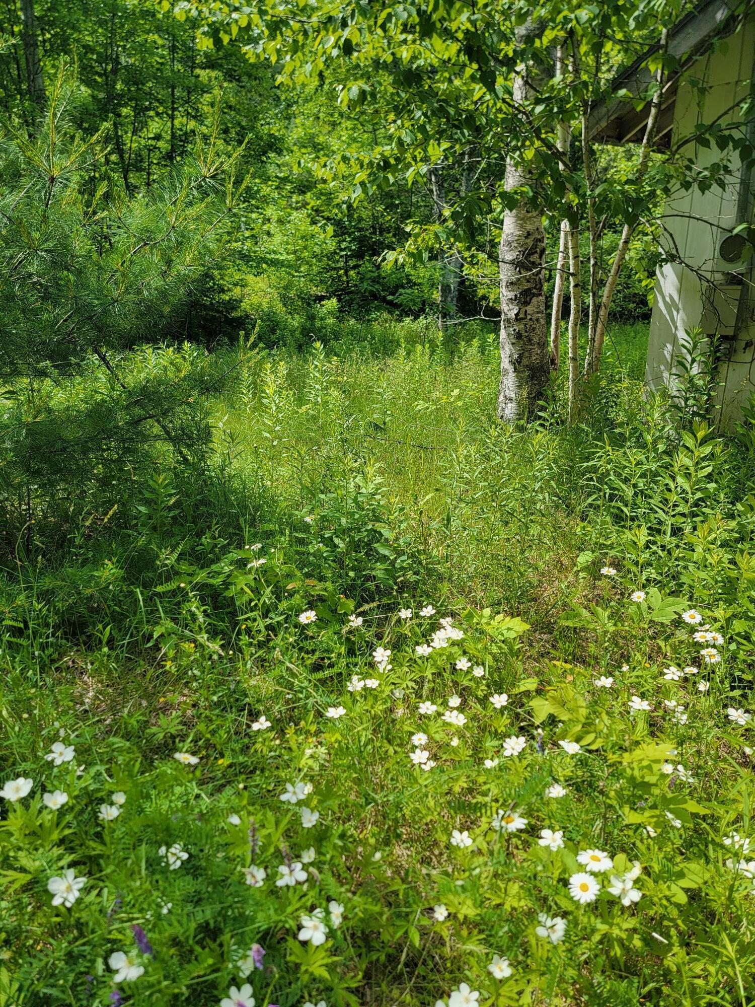 477 Hadley Mill Road Jackson, ME 04921 - Photo 25 of 32