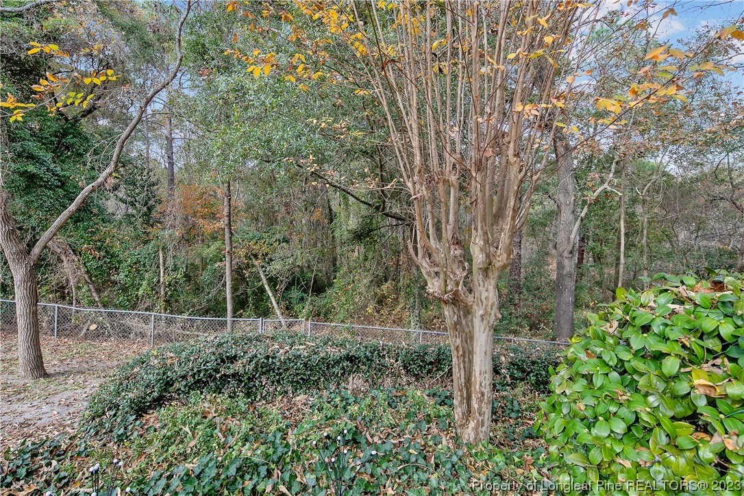618 Porter Road Hope Mills, NC 28348 - Photo 48 of 48 Gallery Image 48