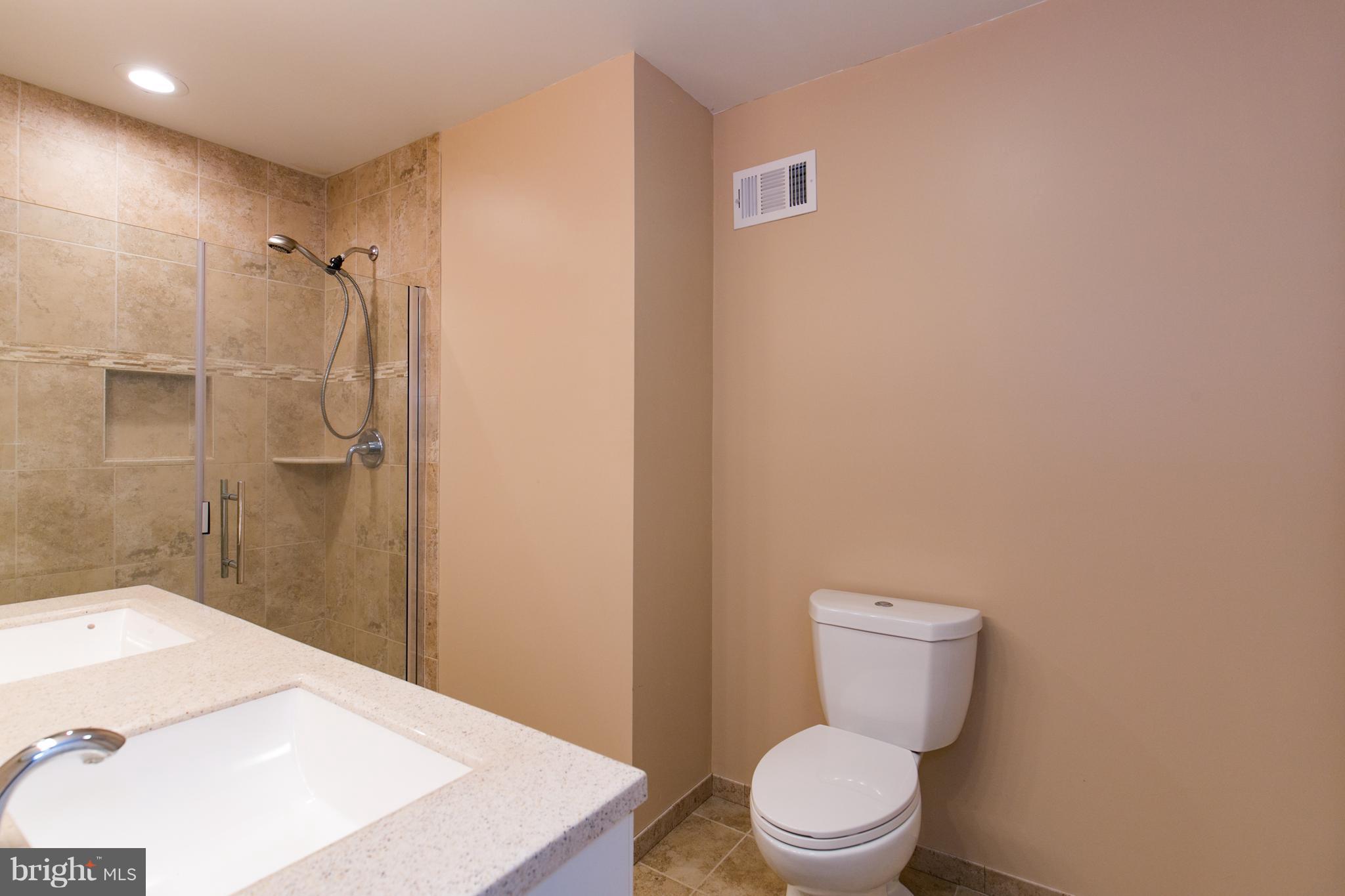 1167 Appleton Road Elkton, MD 21921 - Photo 14 of 24 Bath (Master)