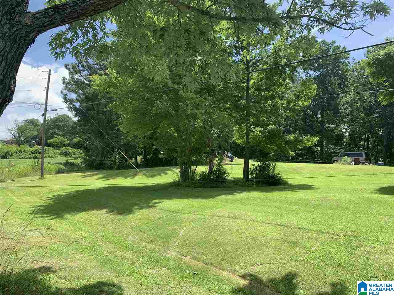 54 Sky Hawk Lane Oneonta, AL 35121 - Photo 13 of 14