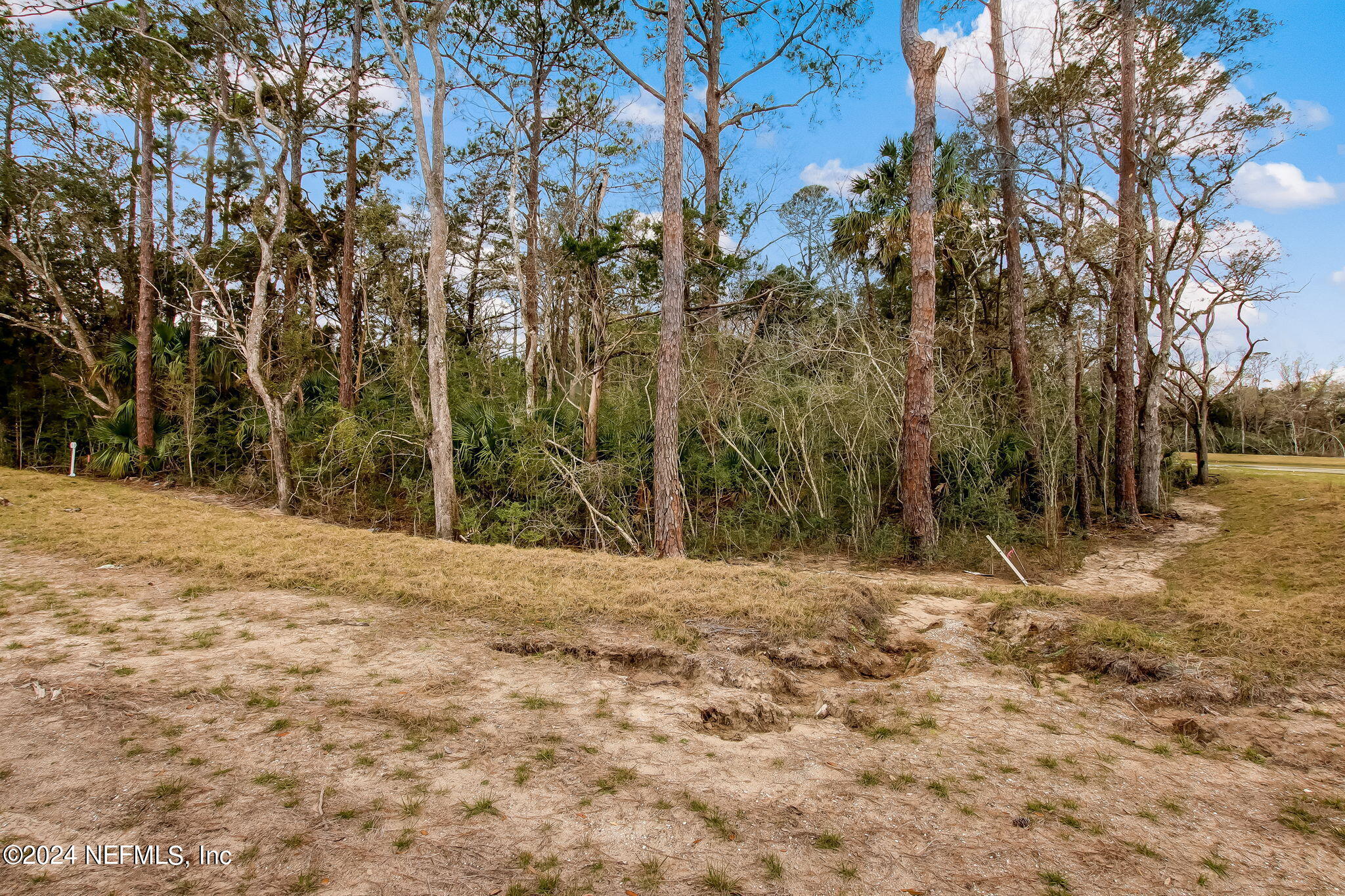566 Shell Ridge Lane Ponte Vedra, FL 32081 - Photo 4 of 27 3-web-or-mls-3_River Landing - Lot 72