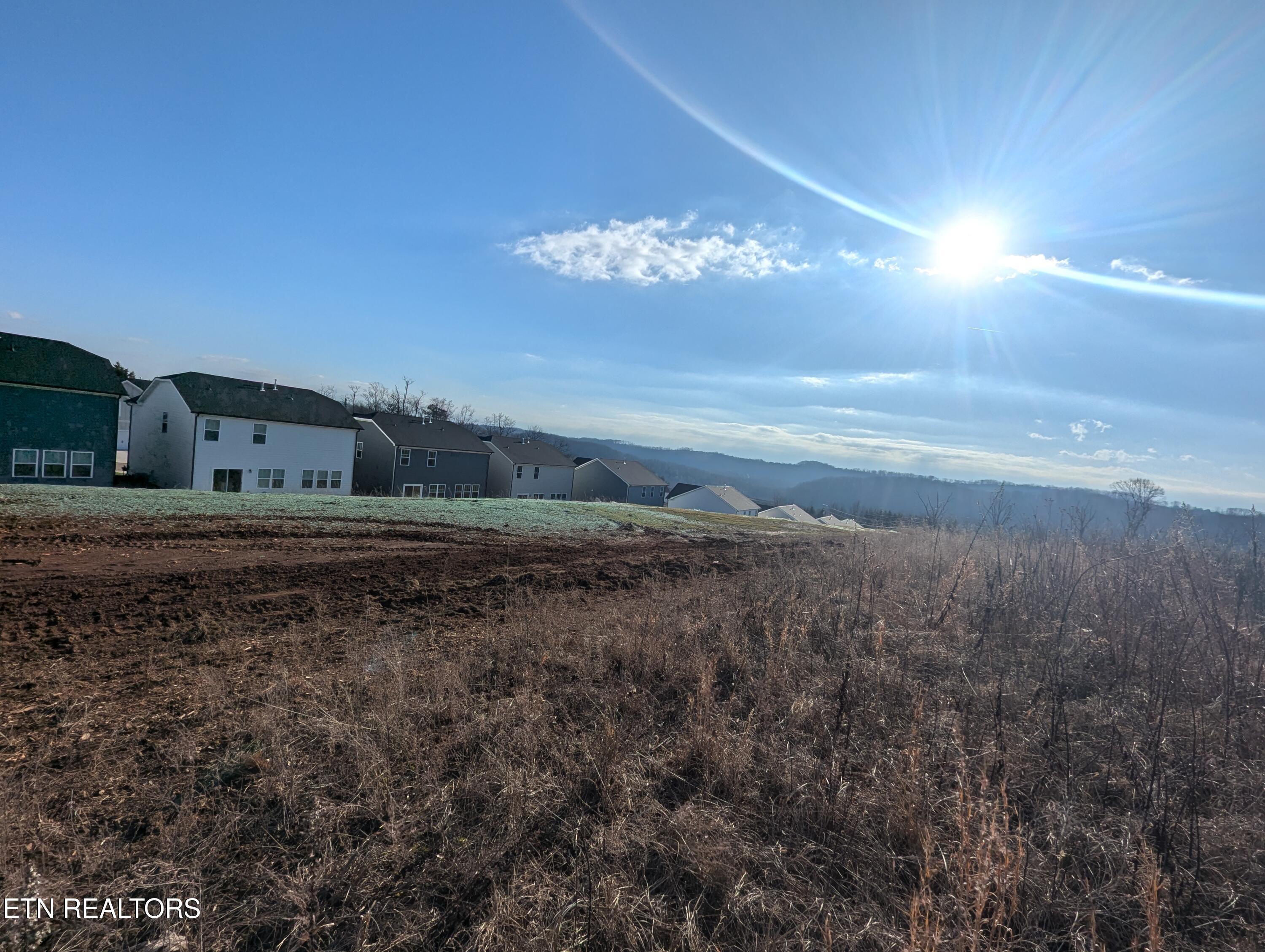 PXL_20250204_143941094