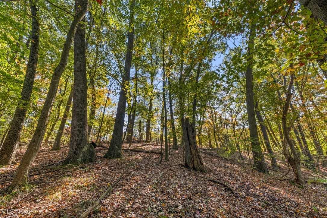 West Comet Road Clinton, OH 44216 - Photo 13 of 26 View of local wilderness