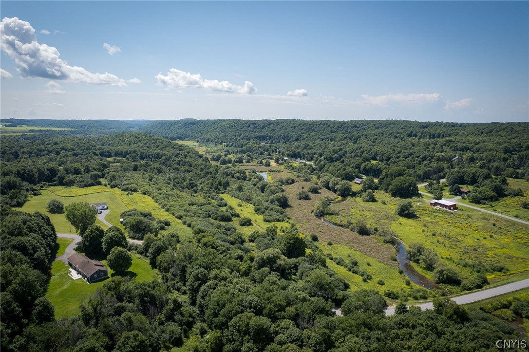 Lawton Hill Road Rodman, NY 13682 - Photo 4 of 11 Gallery Image 4