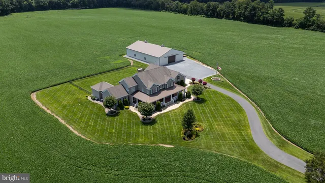 a view of a park with large trees