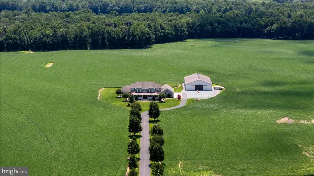 a front view of a house with a yard table and plants