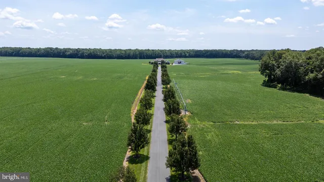 $2,750,000 | 28219 Bridgeville Road, Federalsburg, MD 21632