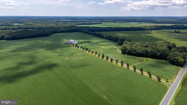 $2,750,000 | 28219 Bridgeville Road, Federalsburg, MD 21632