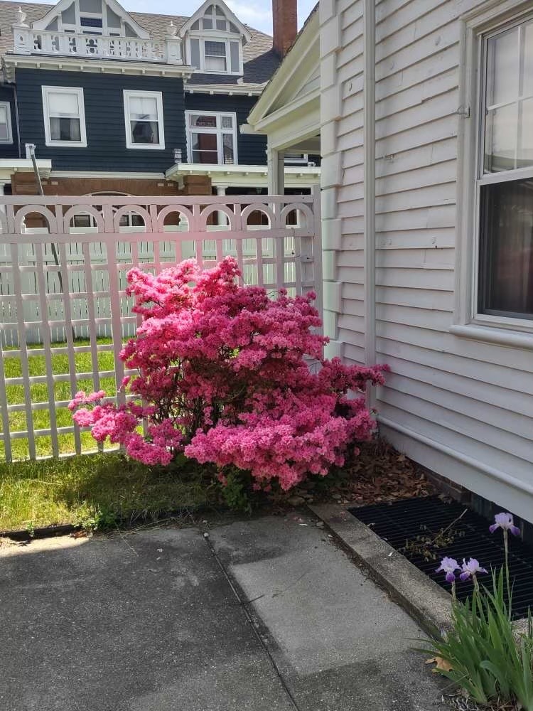 36 Underwood Street Pawtucket, RI 02860 - Photo 12 of 46