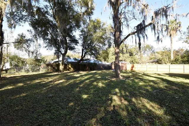 a view of yard and tree