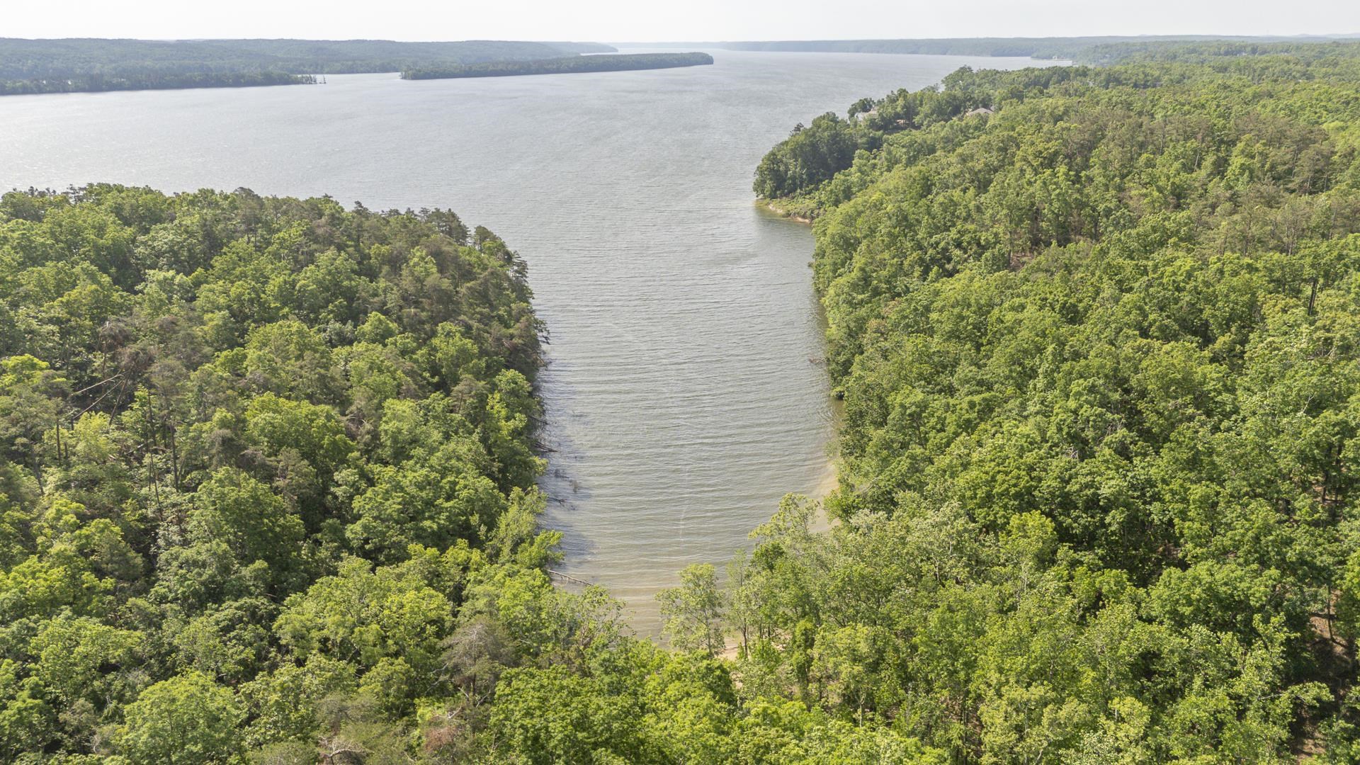 315 Timber Ridge Drive Counce, TN 38326 - Photo 38 of 40 a view of a lake with a garden