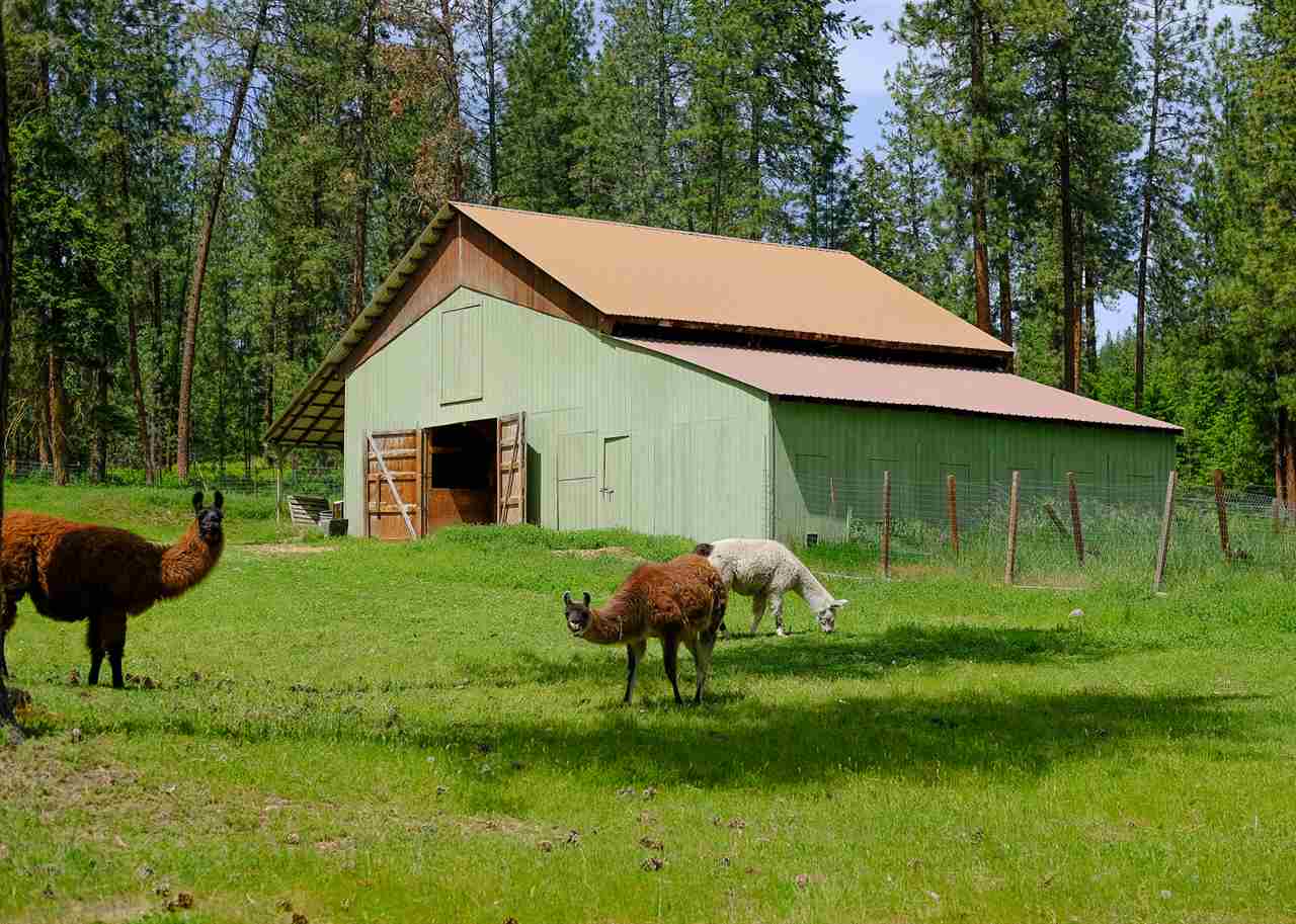 789 Mahoney Road Colville, WA 99114 - Photo 13 of 20