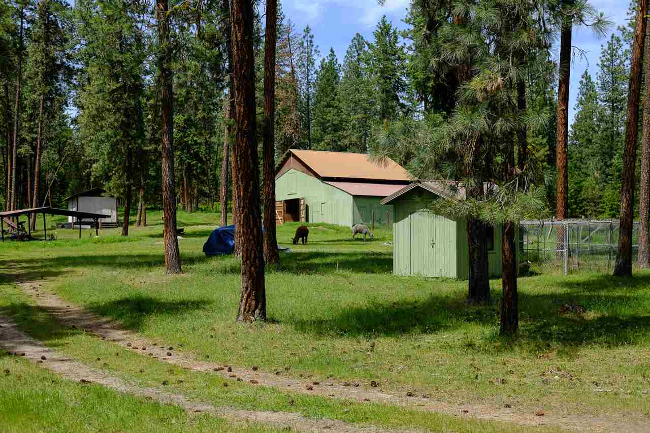 789 Mahoney Road Colville, WA 99114 - Photo 17 of 20
