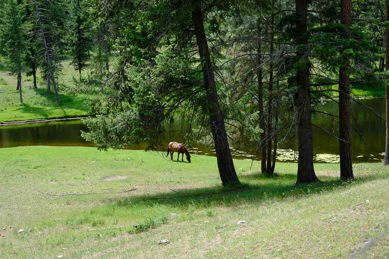 789 Mahoney Road Colville, WA 99114 - Photo 18 of 20