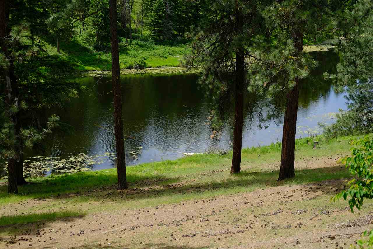 789 Mahoney Road Colville, WA 99114 - Photo 4 of 20