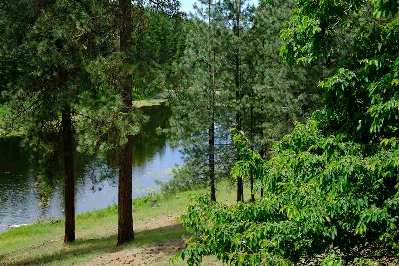 789 Mahoney Road Colville, WA 99114 - Photo 5 of 20