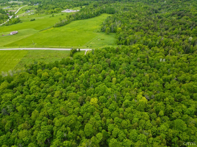 1180 Hawthorne Road Schuyler, NY 13416 - Photo 14 of 23