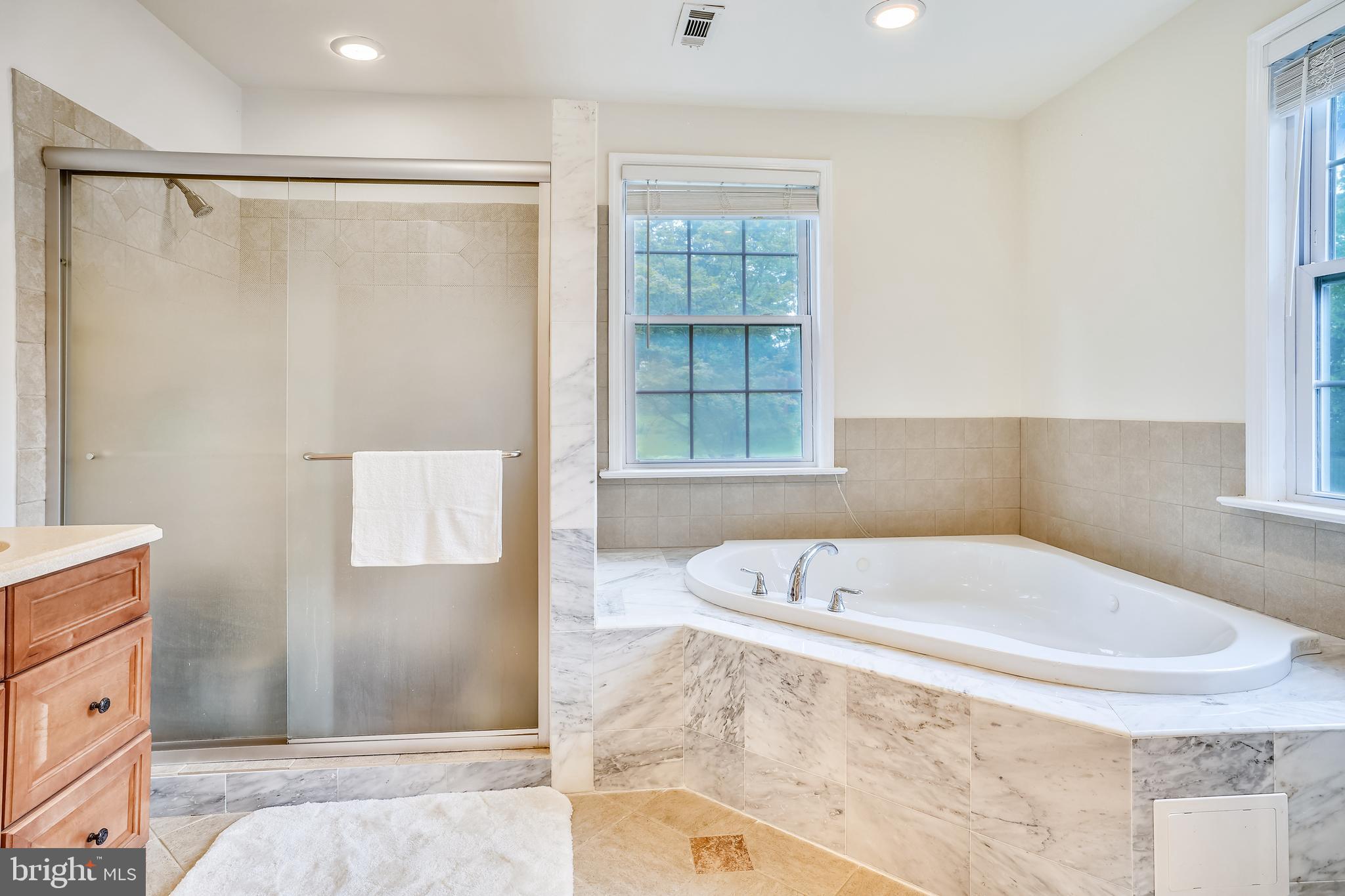 10016 Braddock Road Fairfax, VA 22032 - Photo 21 of 31 Upper level master bath