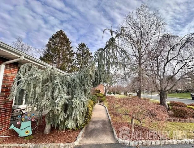 a view of outdoor space and yard