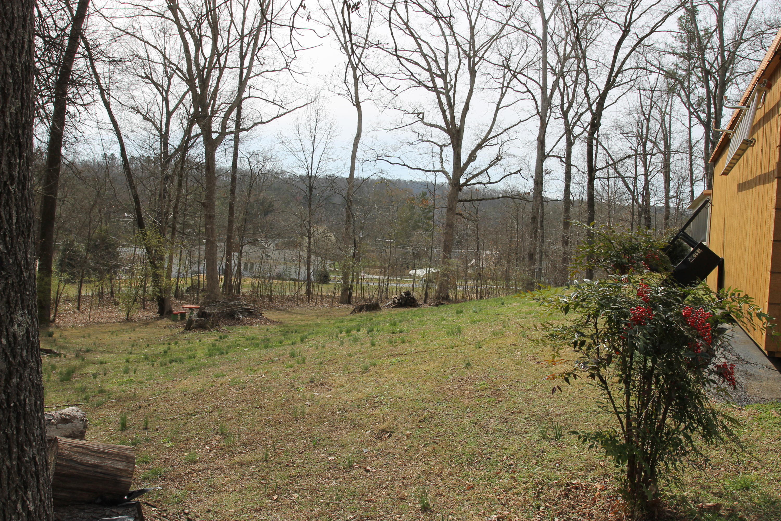 8712 Simpson Road Knoxville, TN 37920 - Photo 29 of 31 IMG_8573