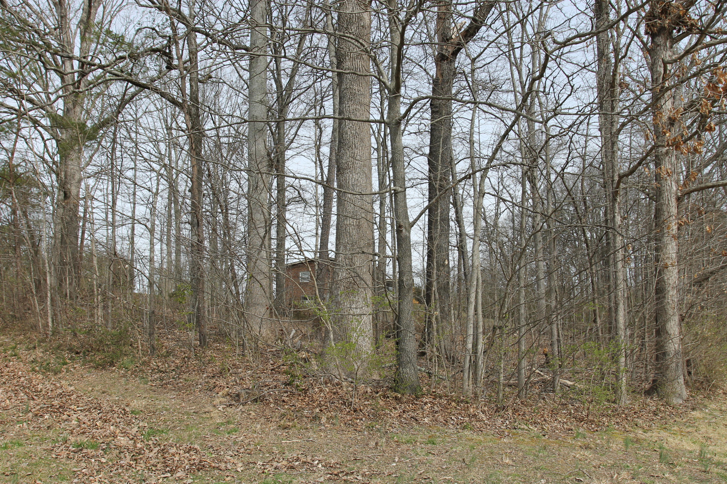 8712 Simpson Road Knoxville, TN 37920 - Photo 31 of 31 IMG_8609