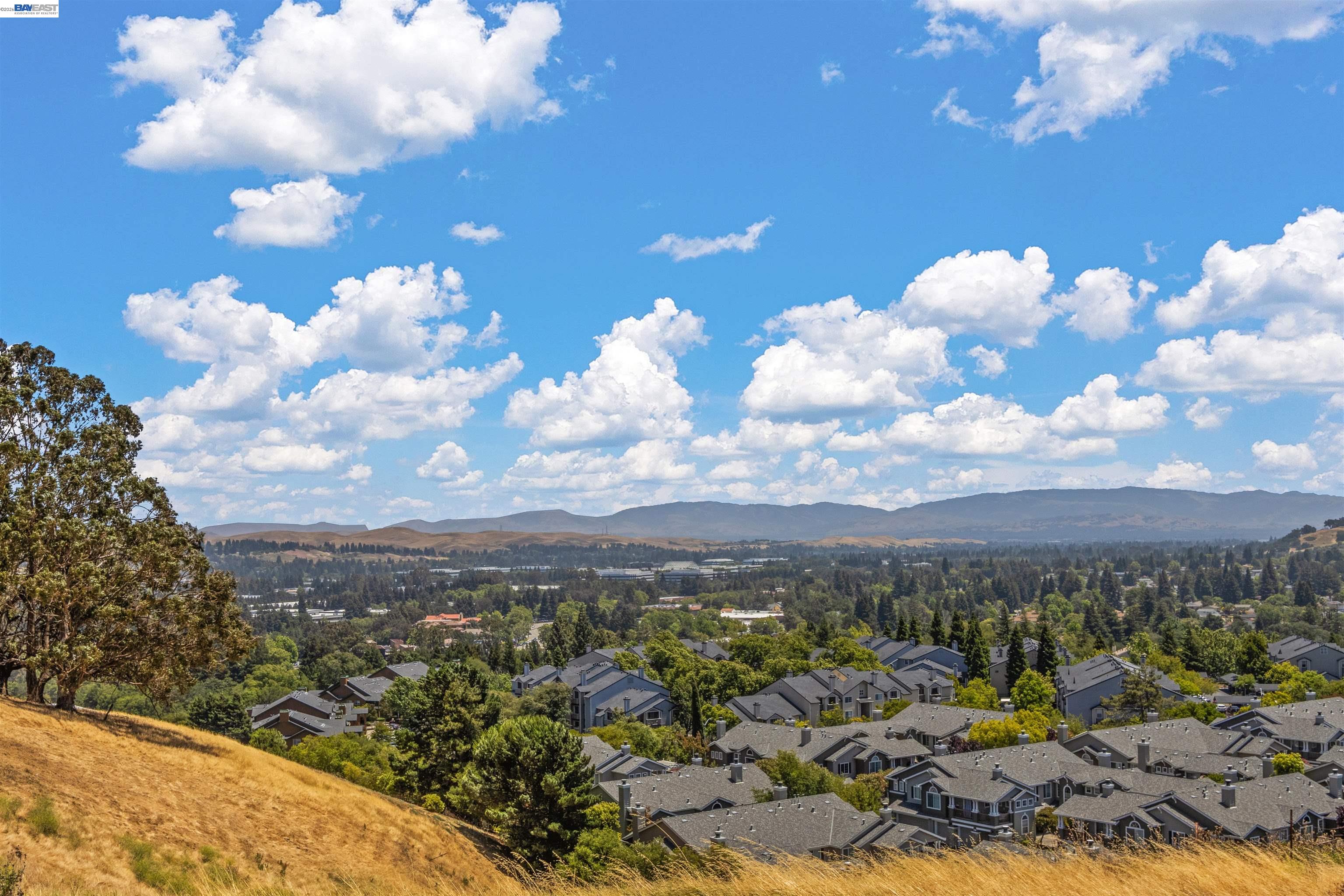 1311 Amalfi Court San Ramon, CA 94583 - Photo 48 of 62