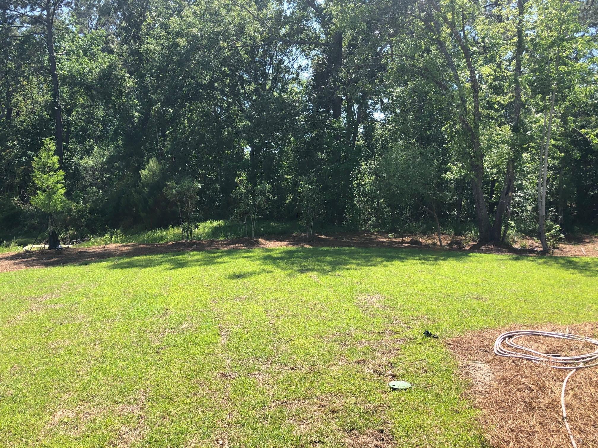1554 Moss Spring Road Mount Pleasant, SC 29466 - Photo 11 of 12 Huge side yard