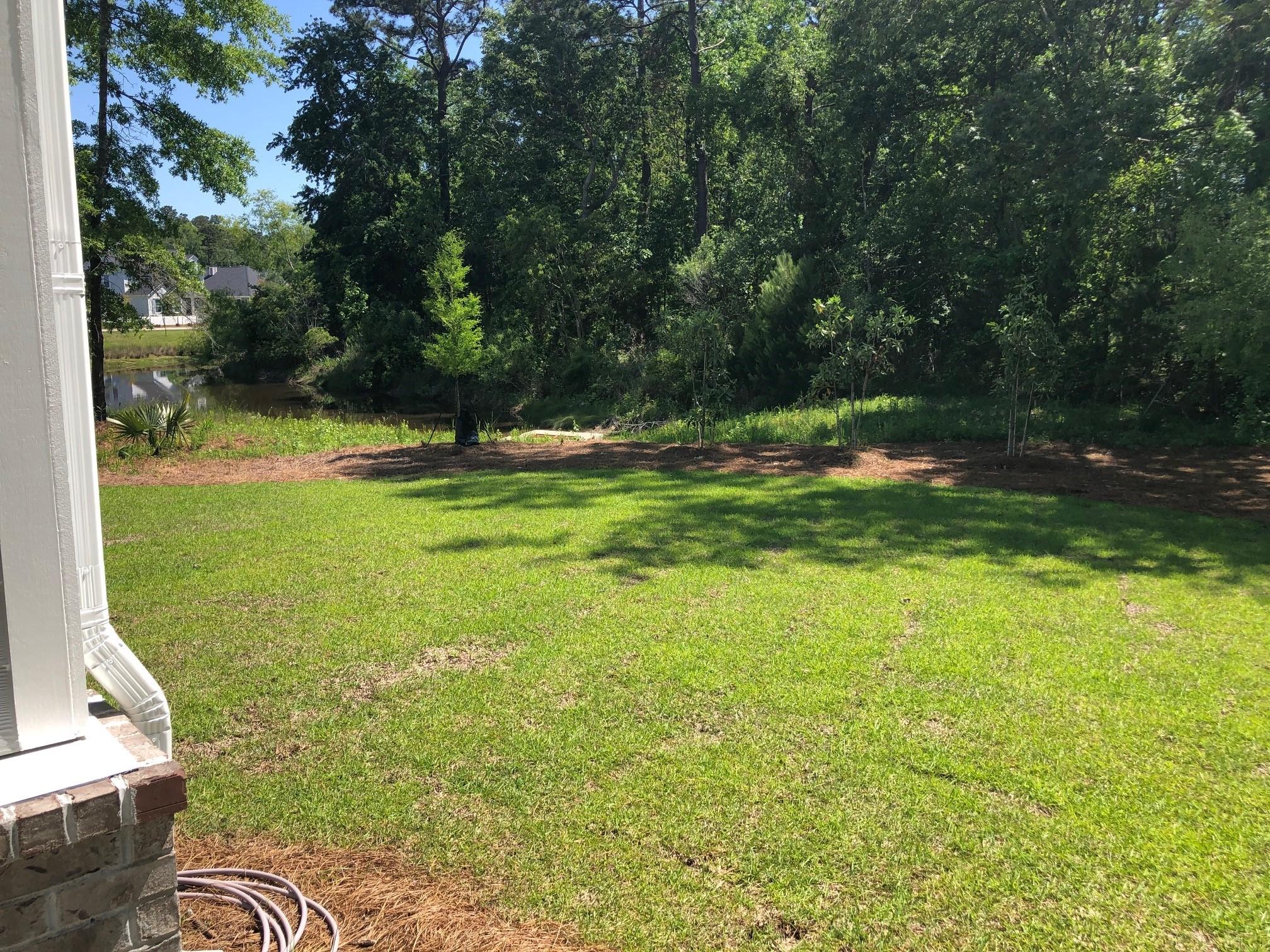 1554 Moss Spring Road Mount Pleasant, SC 29466 - Photo 12 of 12 Pond view