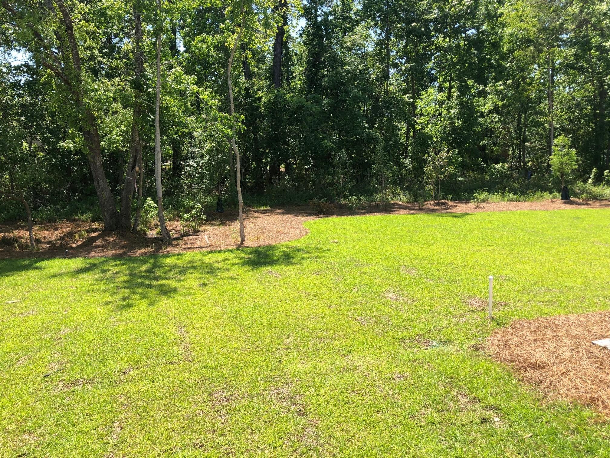 1554 Moss Spring Road Mount Pleasant, SC 29466 - Photo 10 of 12 Back yard