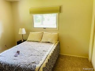 4262 Davison Road Lapeer, MI 48446 - Photo 21 of 55