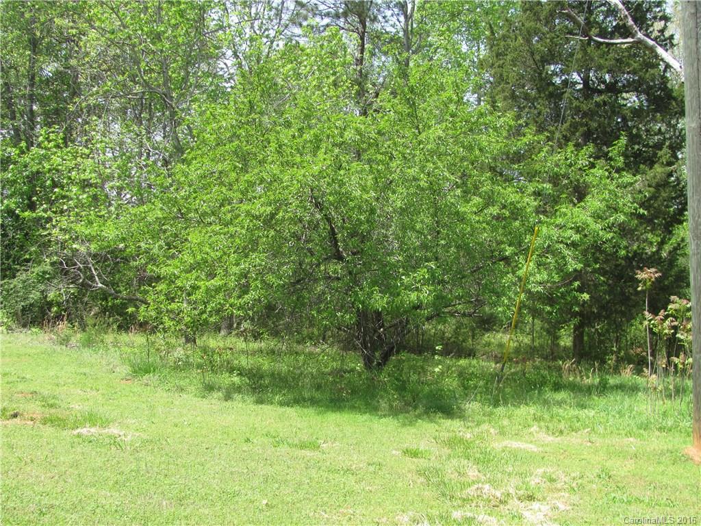 1620 Old Pinckney Road, Unit 1 York, SC 29745 - Photo 10 of 14
