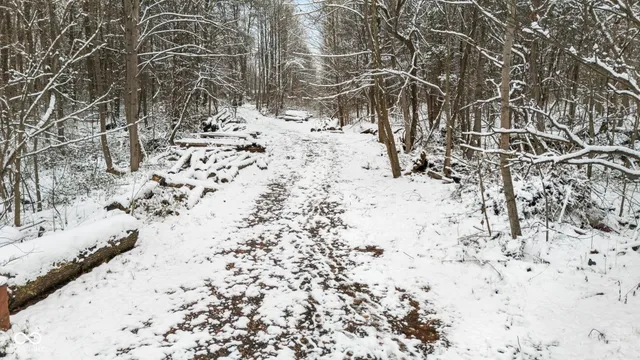 $28,000 | 1357 Highway 3, Lexington, IN 47138