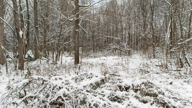 $28,000 | 1357 Highway 3, Lexington, IN 47138