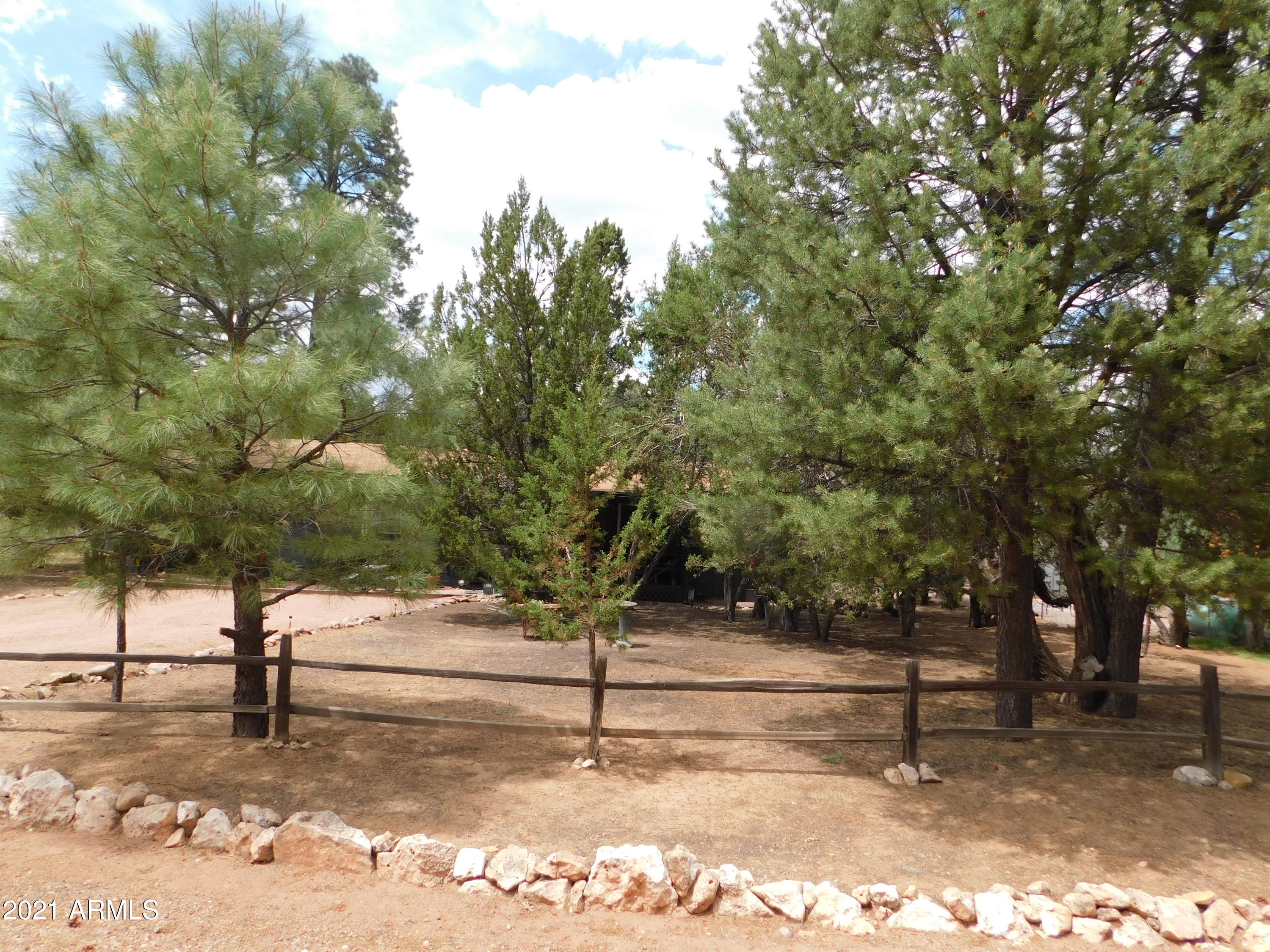 1978 Christmas Pine Road Overgaard, AZ 85933 - Photo 1 of 13 DSCN0044