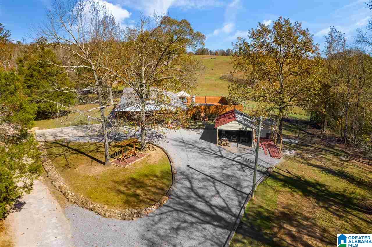 11 Posey Road Blountsville, AL 35031 - Photo 35 of 50