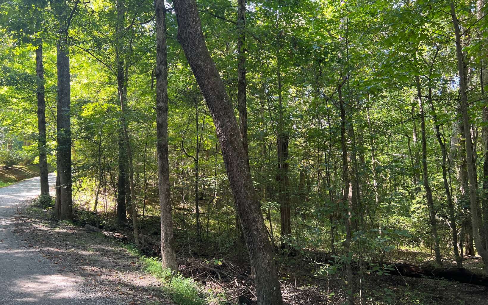 10 Walnut Ridge Ellijay, GA 30540 - Photo 5 of 12 Additional View