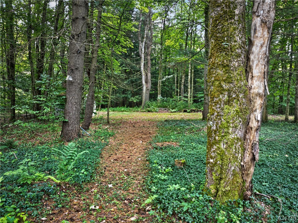 1152 Stone Barn Road Vienna, NY 13042 - Photo 41 of 46 Gallery Image 41
