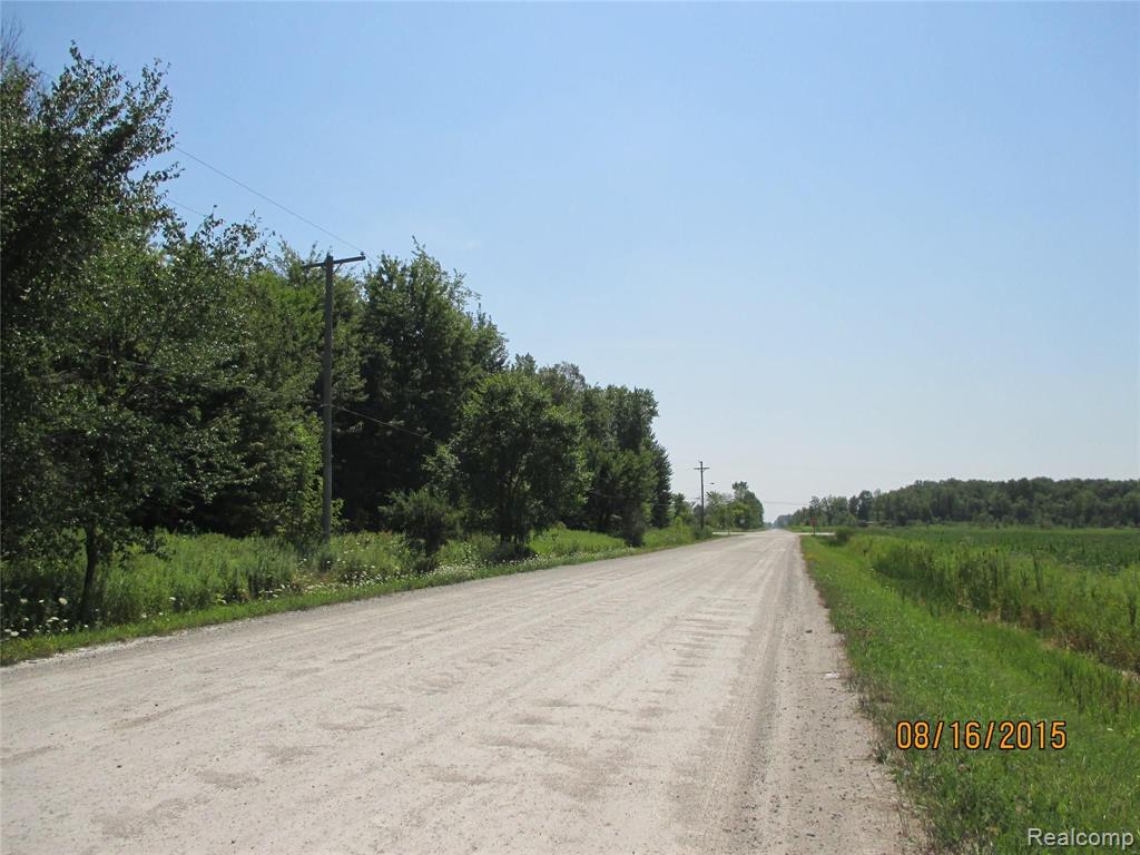 0 McKinley Road East China, MI 48054 - Photo 3 of 17