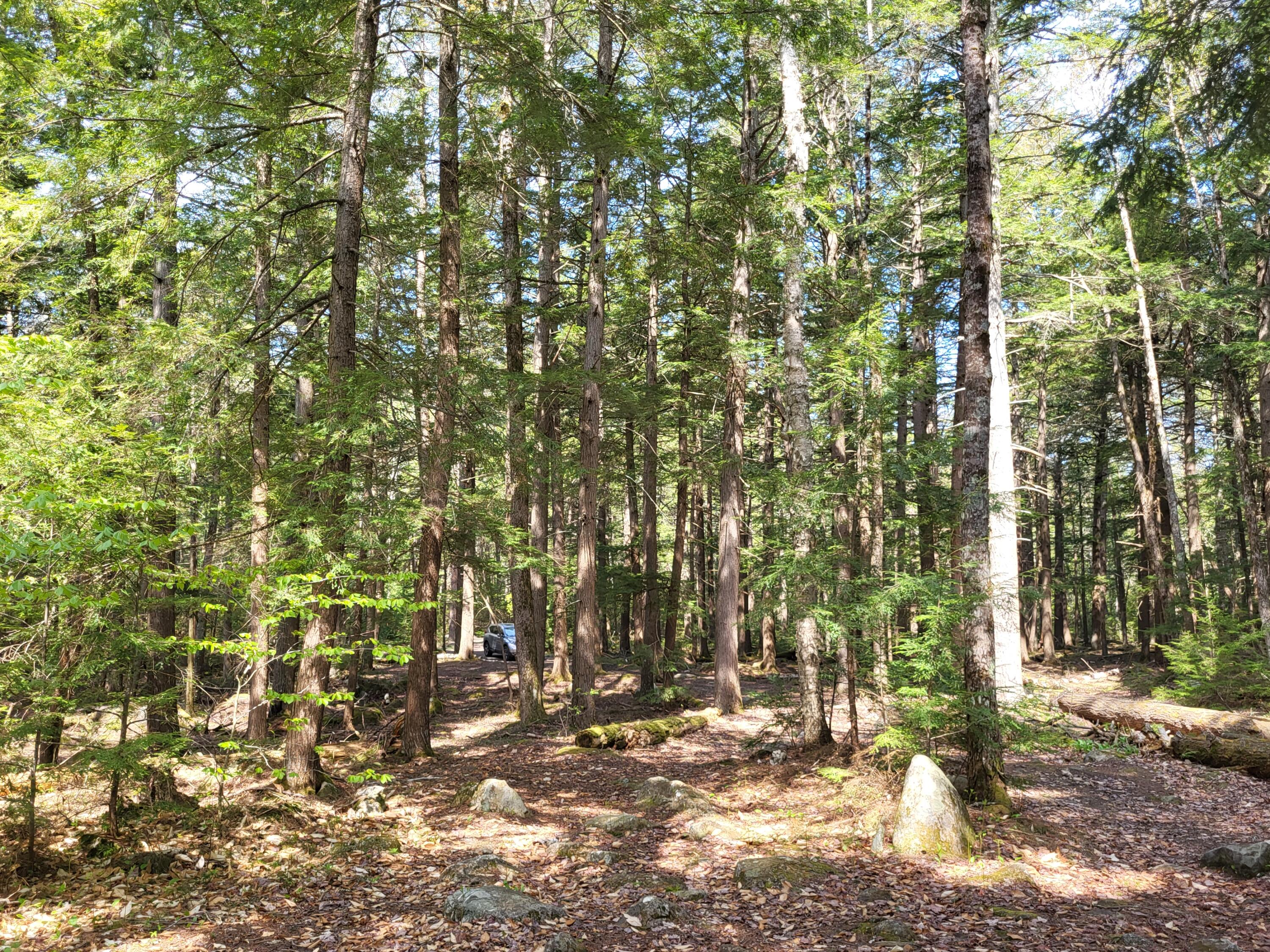 7 Poplar Point Road Mount Vernon, ME 04352 - Photo 57 of 57 40