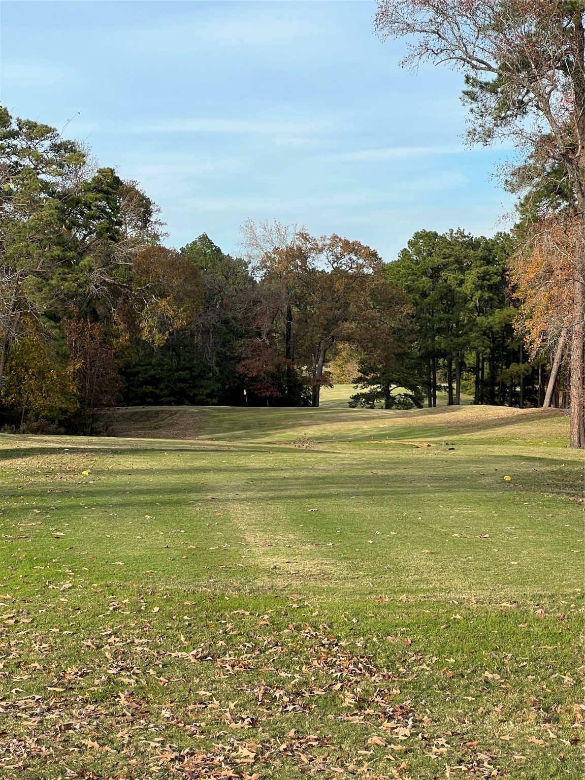 Tbd Bay Hill Road Point Blank, TX 77364 - Photo 11 of 21 a view of an ocean view