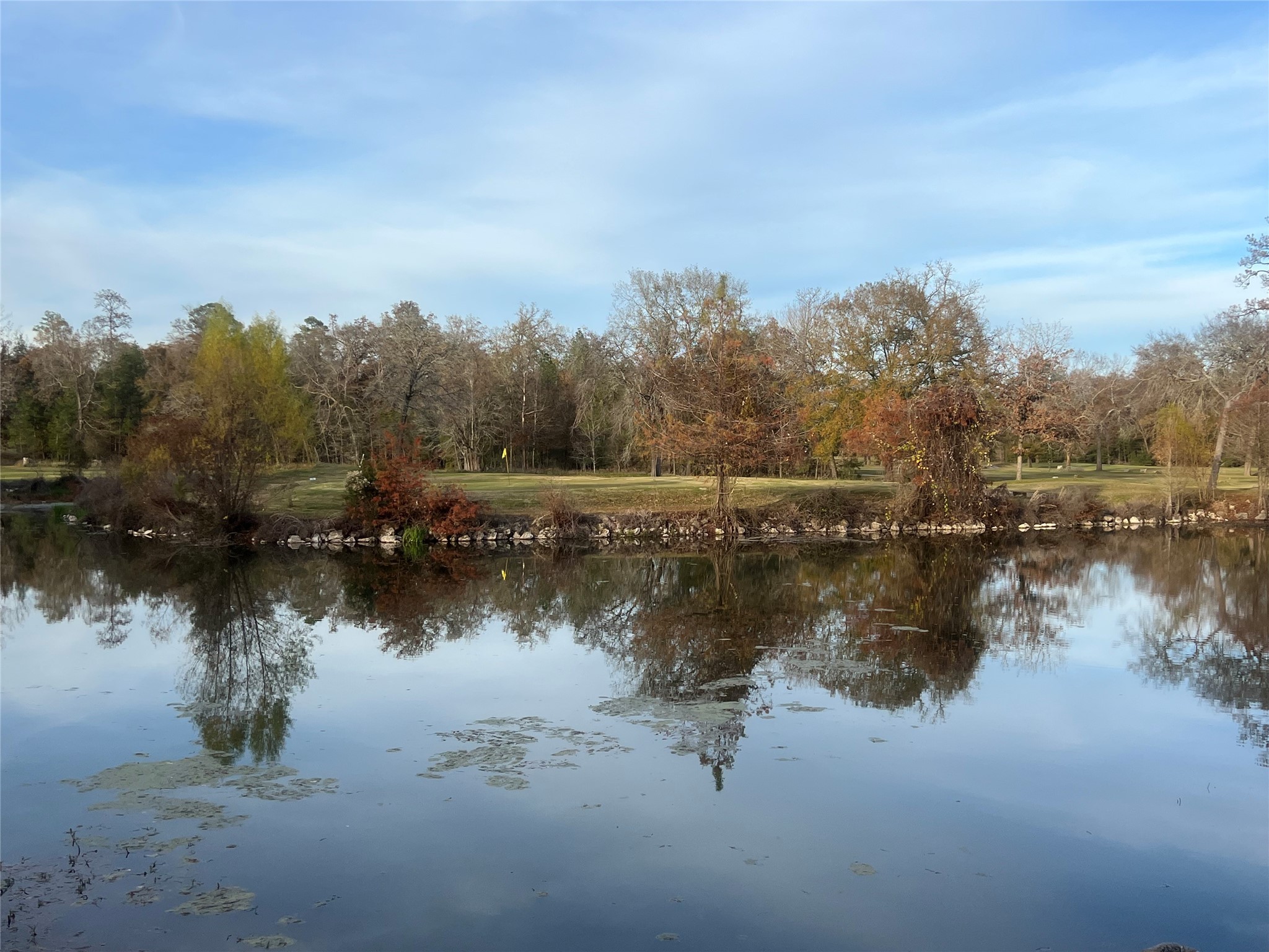 Tbd Bay Hill Road Point Blank, TX 77364 - Photo 13 of 21