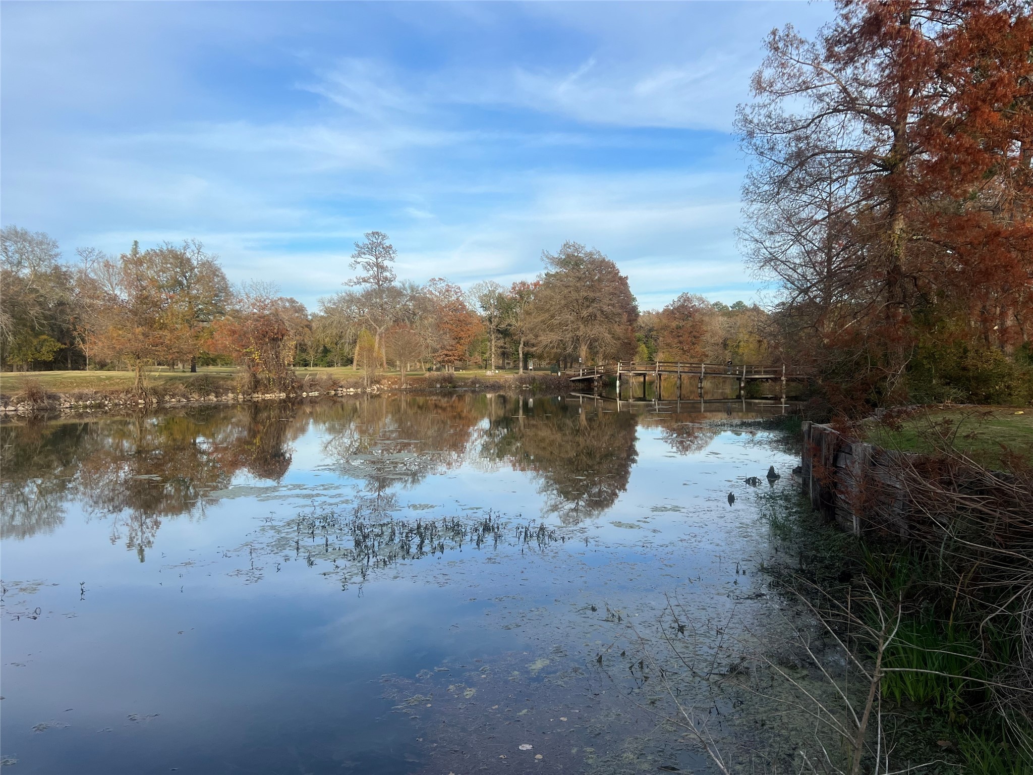 Tbd Bay Hill Road Point Blank, TX 77364 - Photo 14 of 21 a view of lake