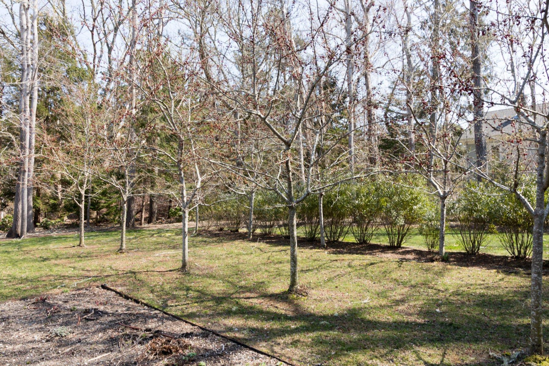 106 Quanset Road Orleans, MA 02653 - Photo 32 of 34 IMG_8472