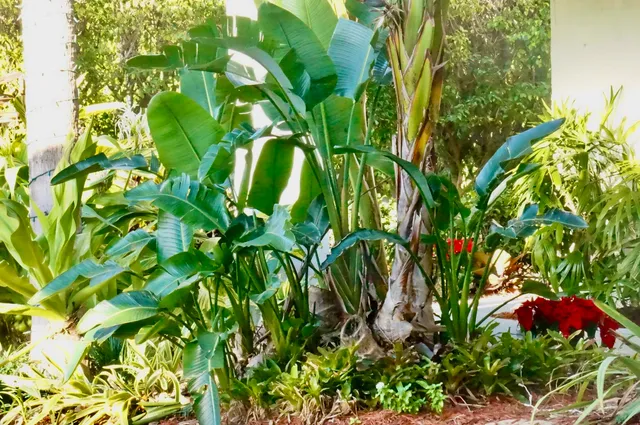 a front view of building with yard