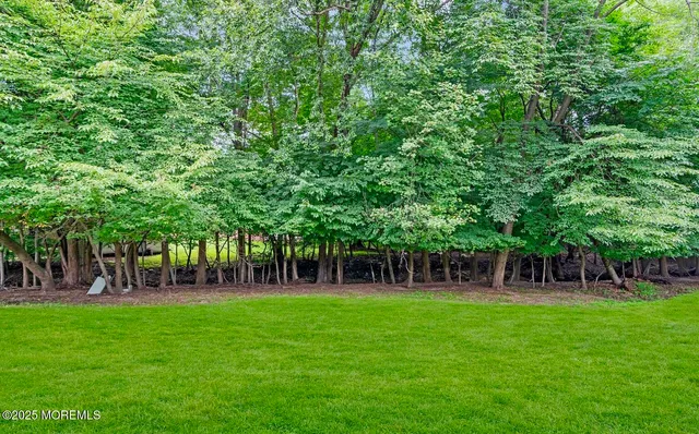 a view of house with a backyard
