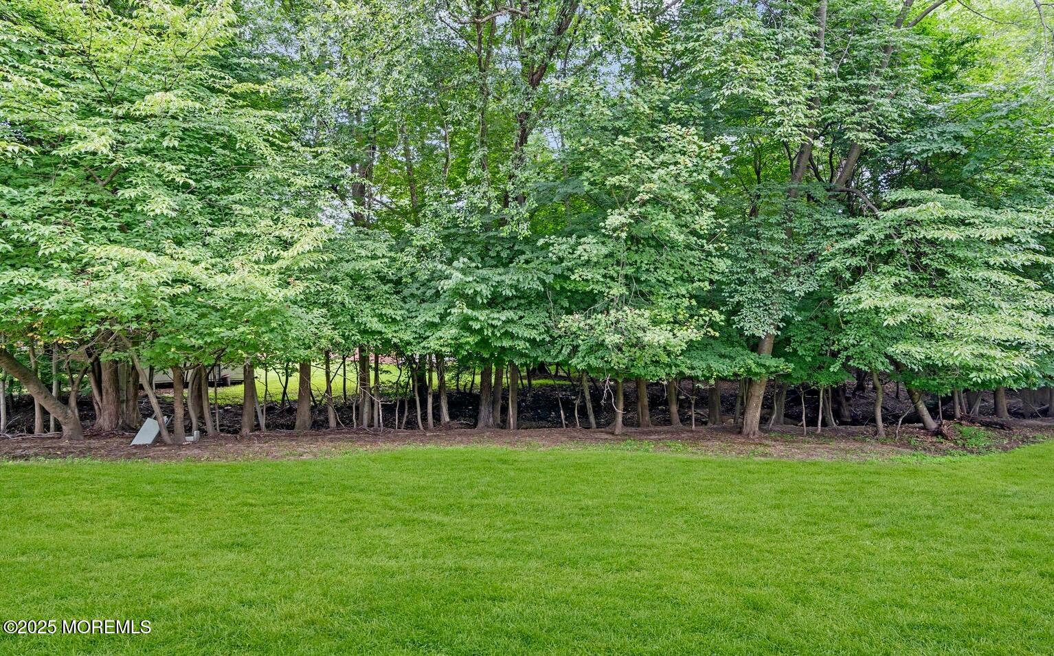 70 Overlook Way, Unit A Manalapan, NJ 07726 - Photo 12 of 13 a view of house with a backyard