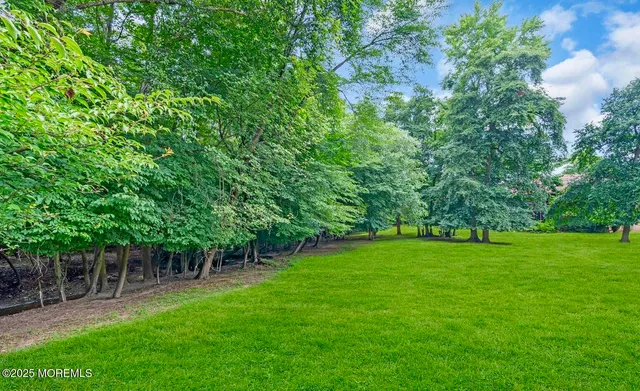 a view of a backyard with a garden