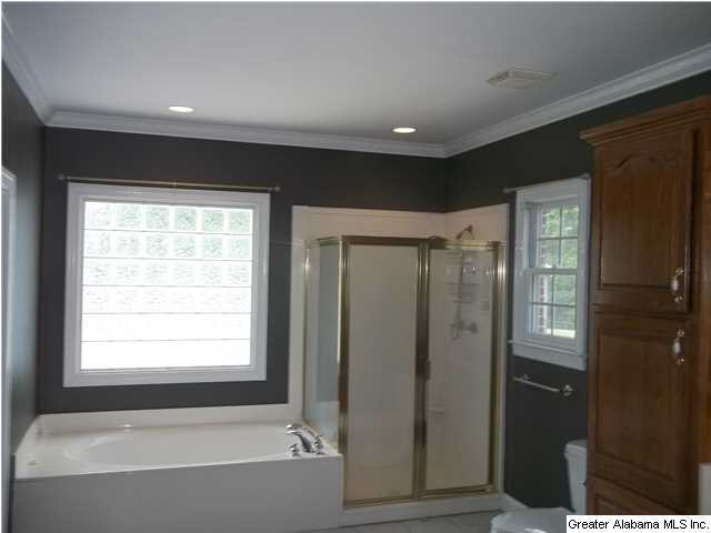 102 Deer Trace Oneonta, AL 35121 - Photo 8 of 24