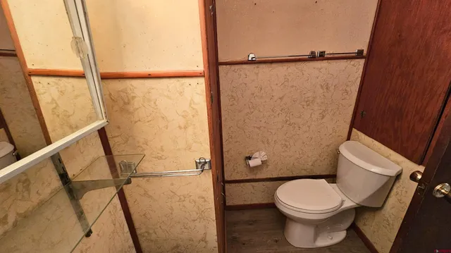 a bathroom with a toilet and a shower