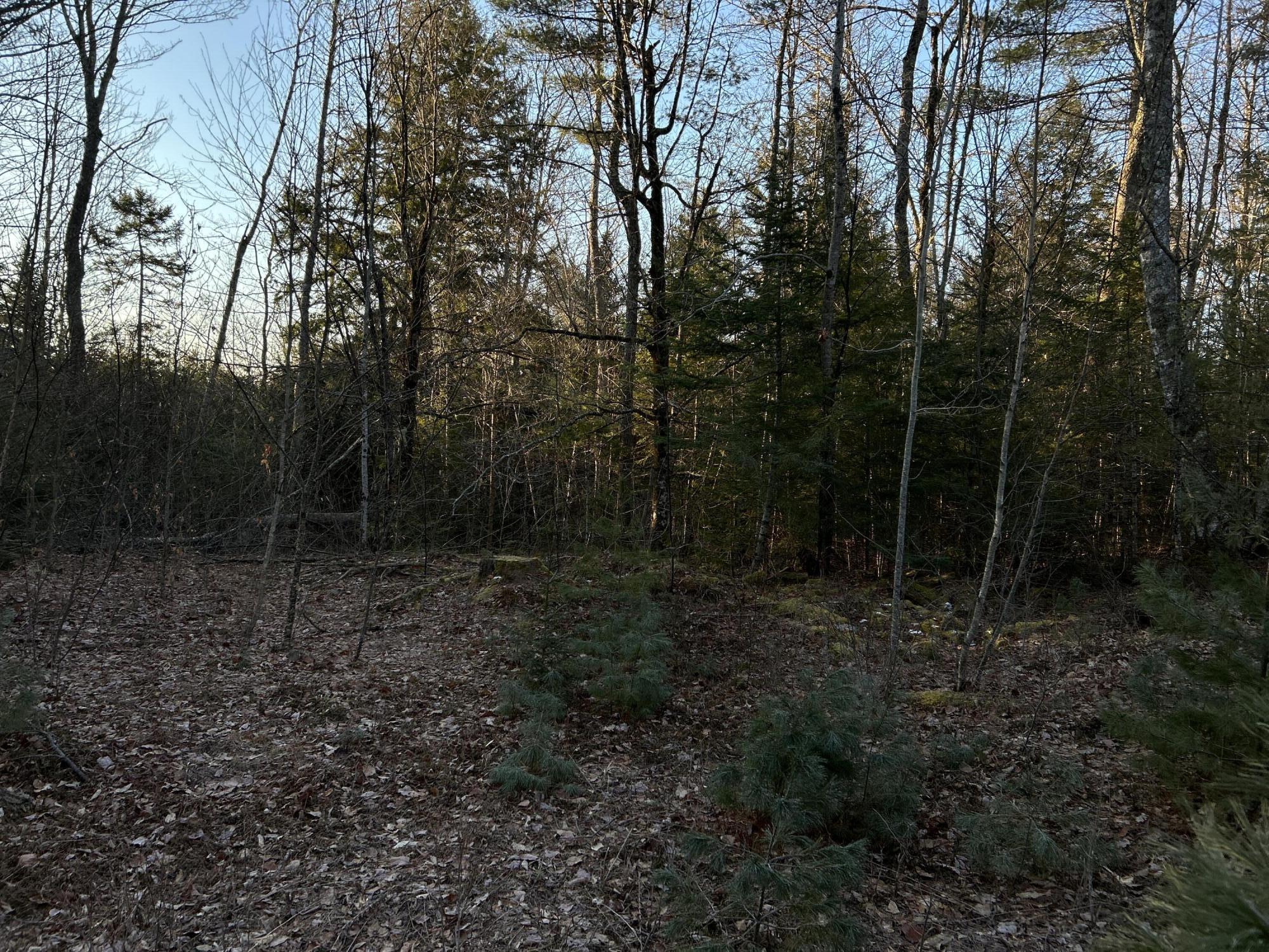 4 (4)